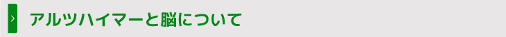 アルツハイマーと脳について