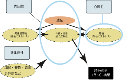 ②うつ病発症の原因