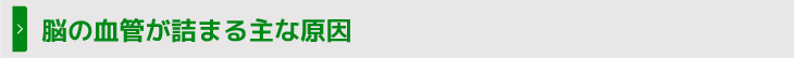 脳の血管が詰まる主な原因