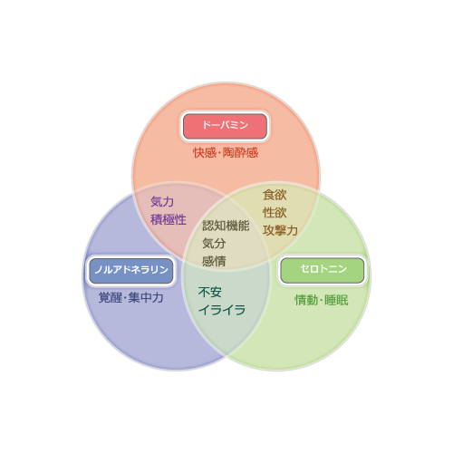 脳内分泌物質と言動との関係