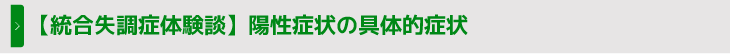 【統合失調症体験談】陽性症状の具体的症状